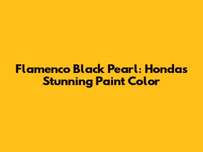 Flamenco Black Pearl: Honda's Stunning Paint Color