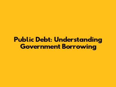 Public Debt: Understanding Government Borrowing